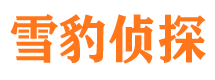 大邑找人公司